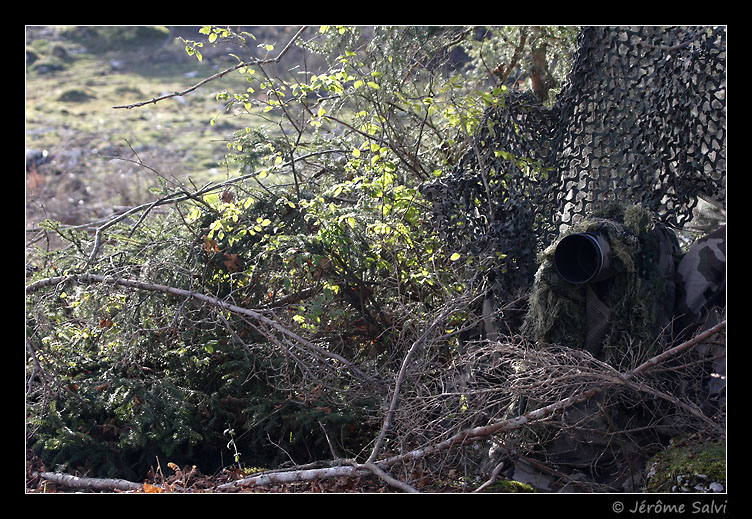 construire un aff�t photo de camouflage